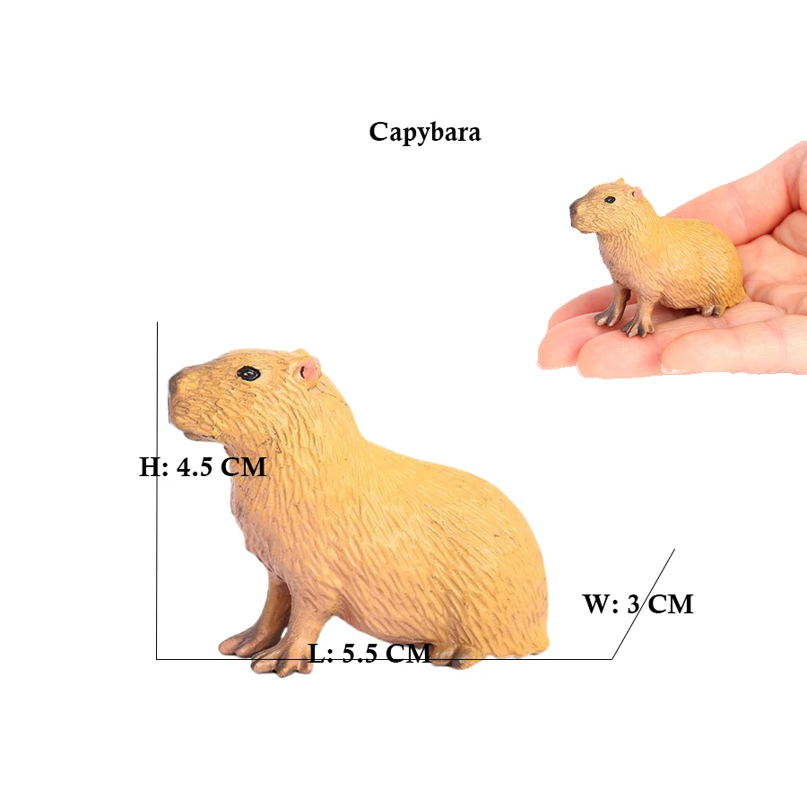 Capibara Capybaras Squirrel Ma - огляд і ціна Kids Toys Reviews