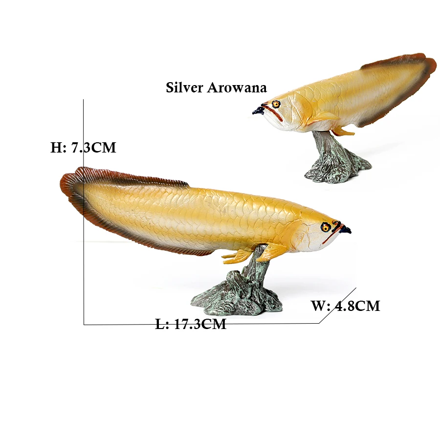 Arowana Pirarucu Coelacanth Bi - огляд і ціна Kids Toys Reviews