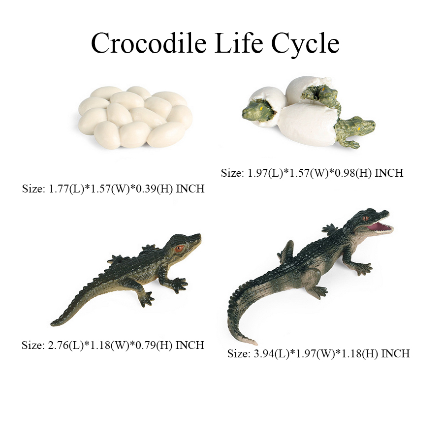 Toy of crocodile Figure Toys A - огляд і ціна Kids Toys Reviews